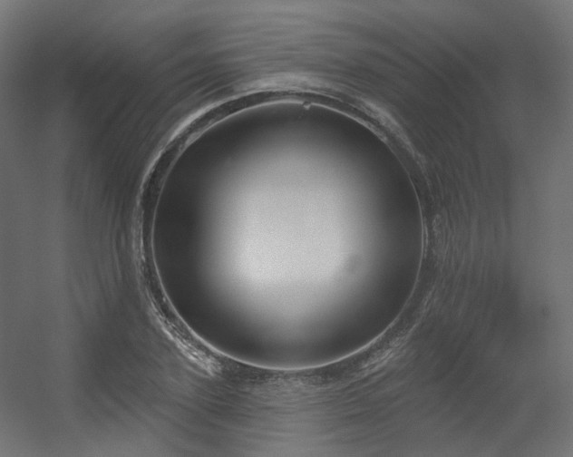 X0000056310931200509021533