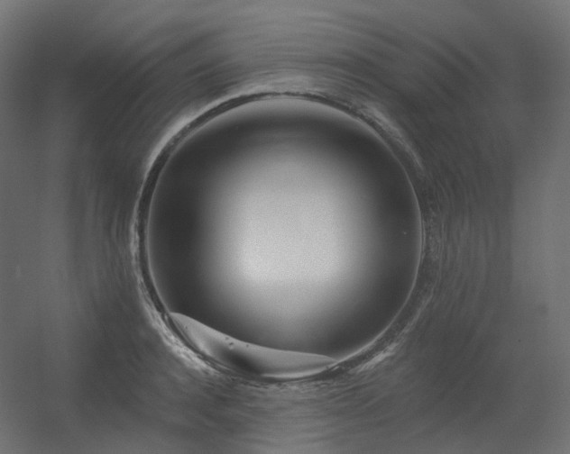 X0000056310944200509021533