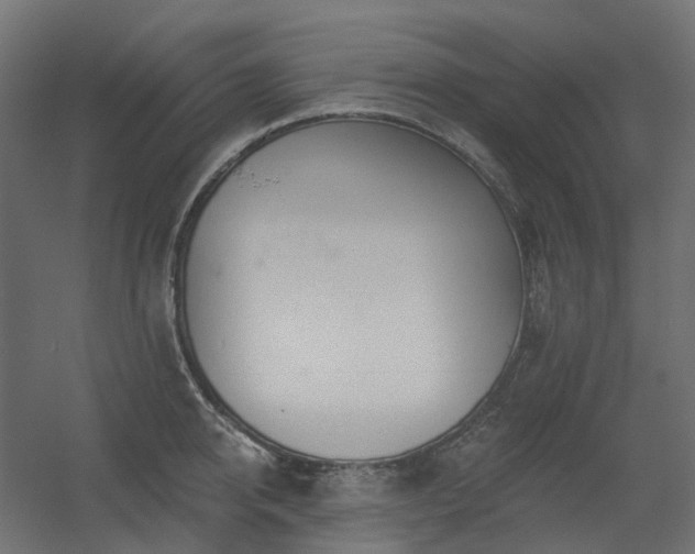 X0000056310950200509021533