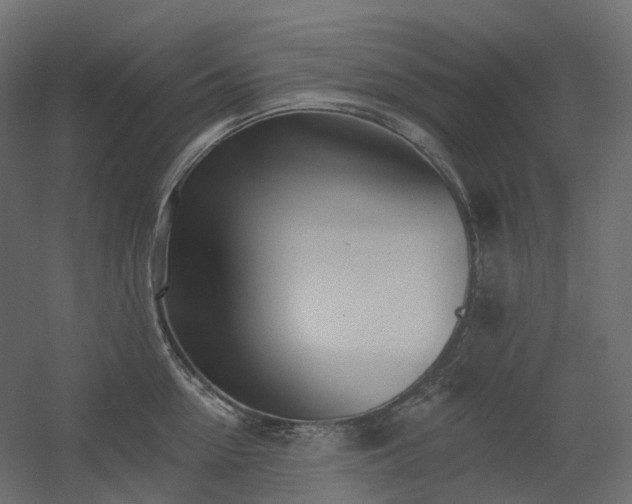 X0000056310954200509021533