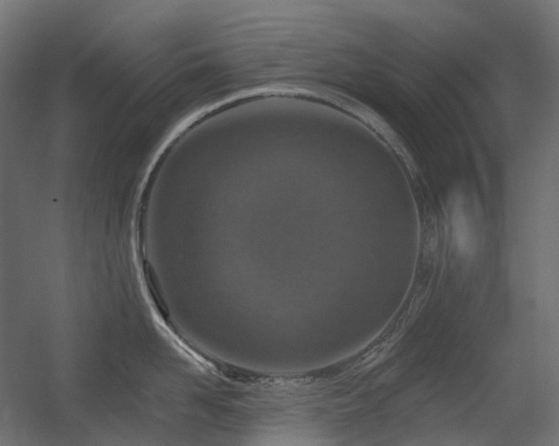 X0000056310958200509021533