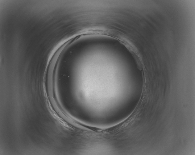X0000056310960200509021533