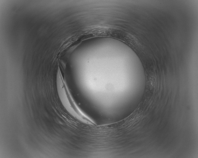 X0000056310964200509021533
