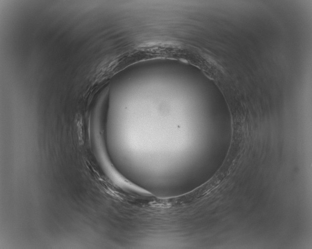 X0000056310965200509021533