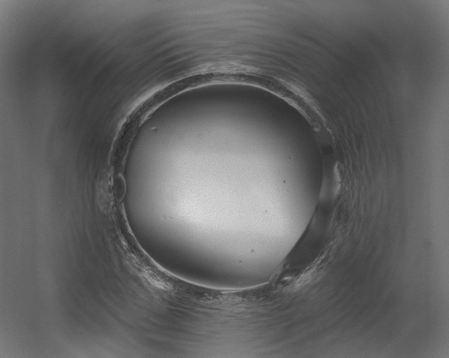 X0000056310971200509021533