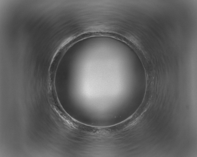 X0000056310974200509021532