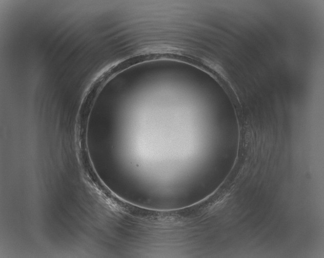 X0000056310979200509021532
