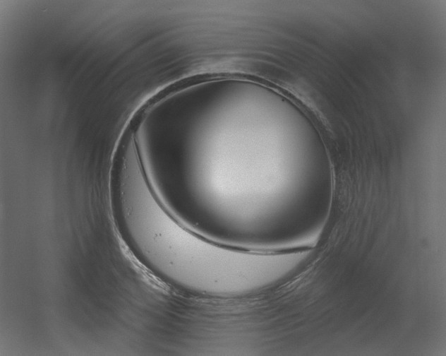 X0000056310980200509021532