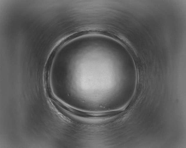 X0000056310983200509021532