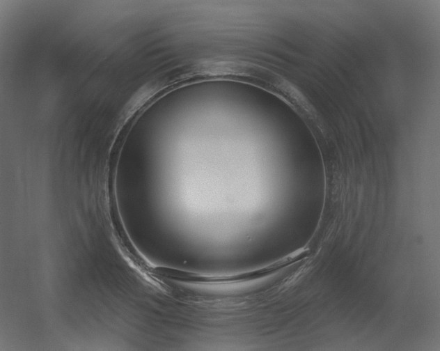 X0000056310986200509021532