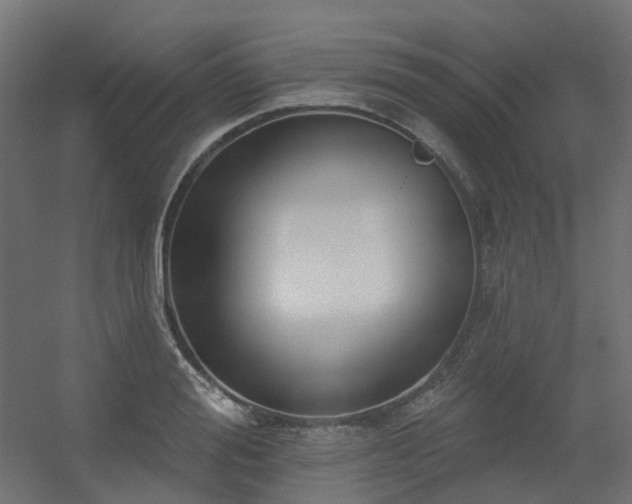 X0000056310988200509021532