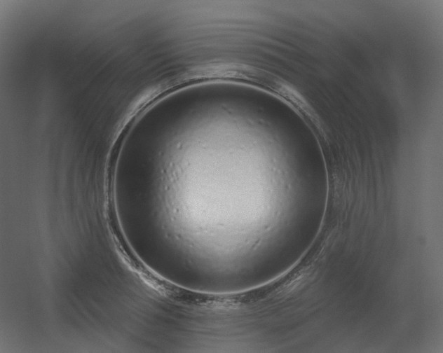 X0000056310994200509021532
