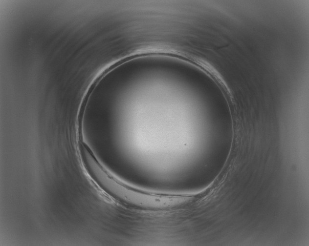 X0000056310996200509021532