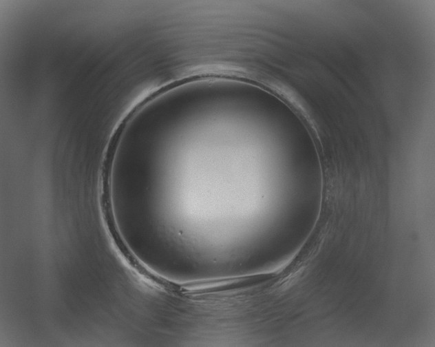 X0000056310999200509021532
