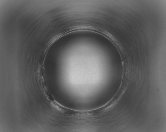 X0000056311001200509021532