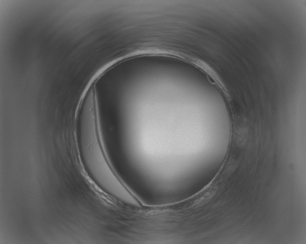 X0000056311004200509021532