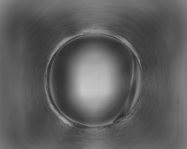 X0000056311005200509021532