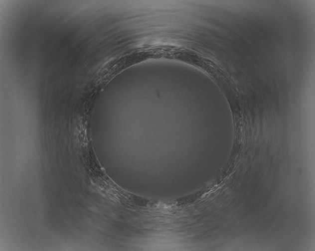 X0000056311013200509021531