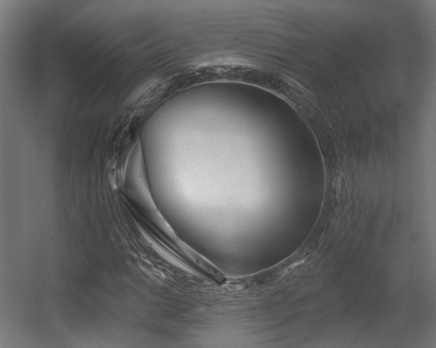 X0000056311014200509021531