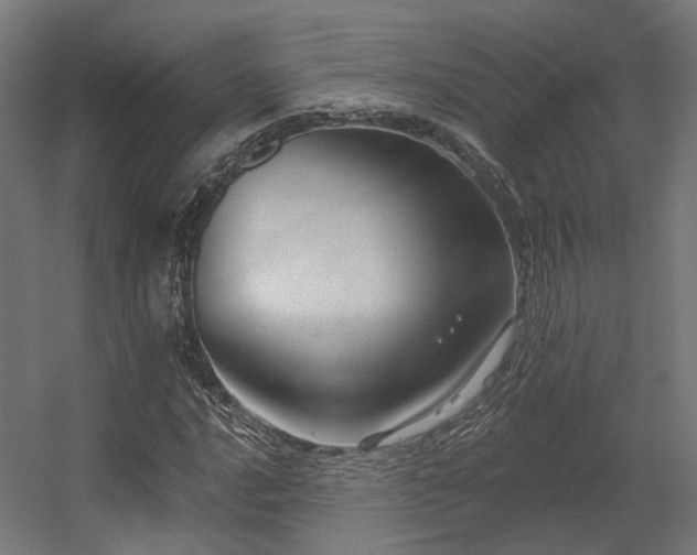 X0000056311016200509021531