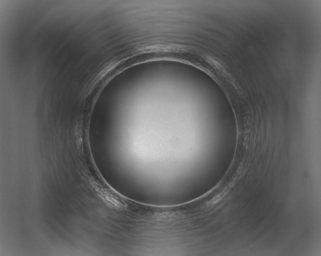 X0000056311017200509021531