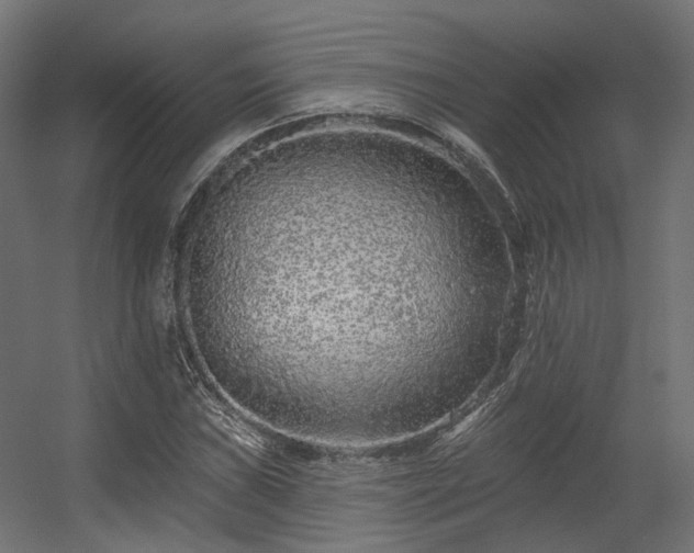 X0000056311019200509021531