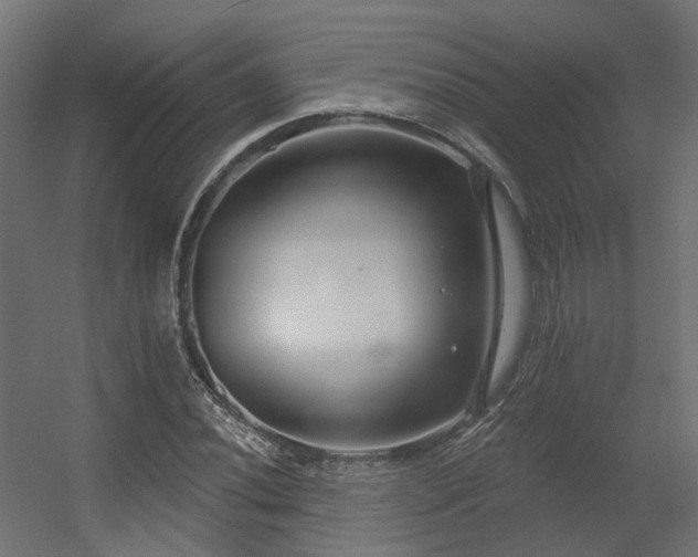 X0000056311020200509021531