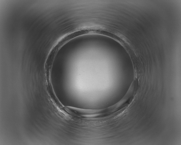 X0000056311022200509021531
