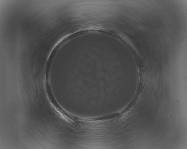 X0000056311024200509021531