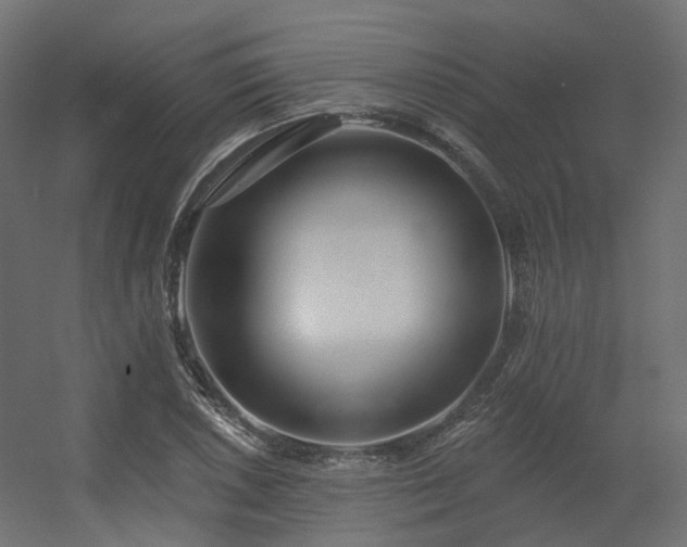 X0000056311026200509021531