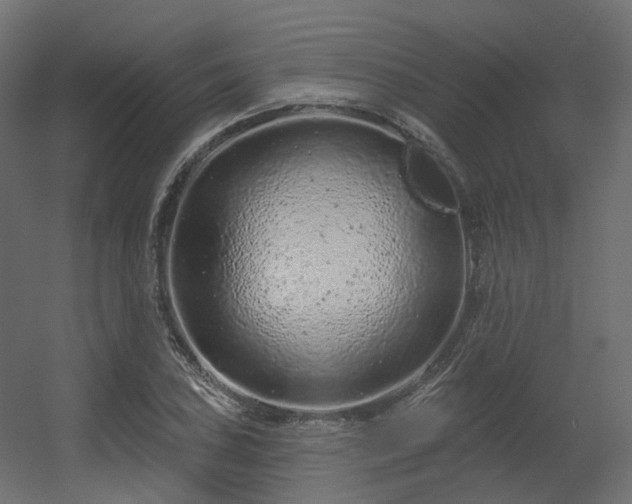 X0000056311027200509021531