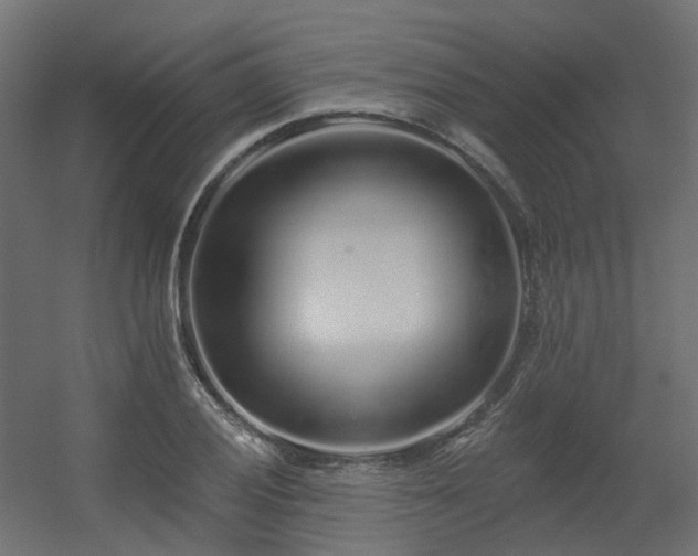 X0000056311028200509021531