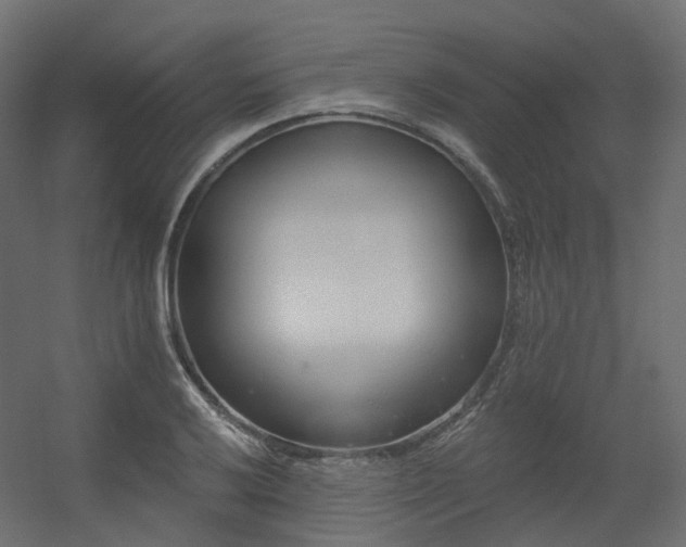 X0000056311032200509021531