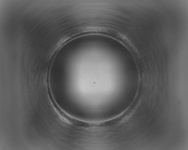 X0000056311033200509021531