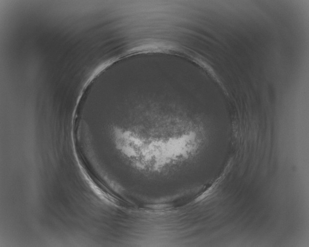 X0000056311034200509021531