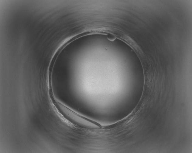 X0000056311036200509021532
