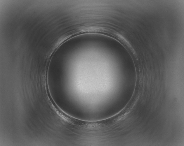 X0000056311041200509021532