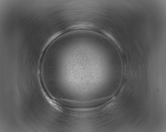 X0000056311042200509021532