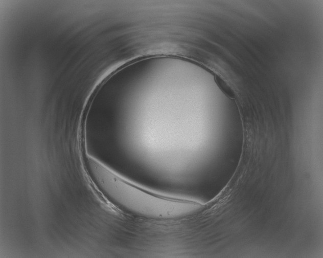 X0000056311044200509021532