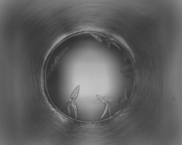 X0000056311048200509021532