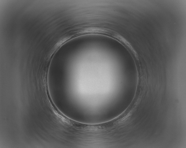 X0000056311049200509021532
