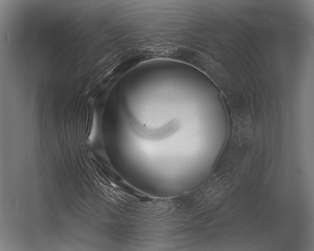 X0000056311058200509021531