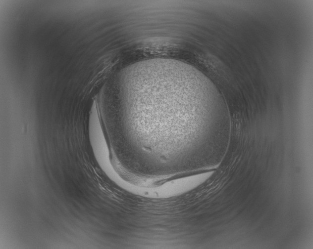 X0000056311060200509021531