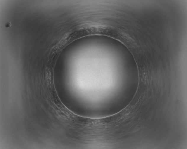 X0000056311061200509021531
