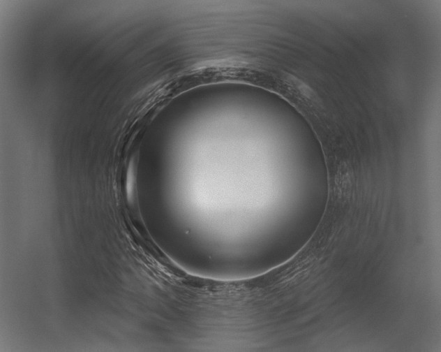 X0000056311062200509021531