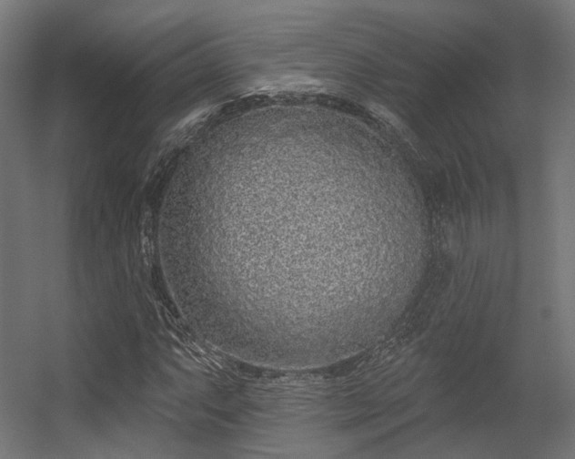 X0000056311063200509021531