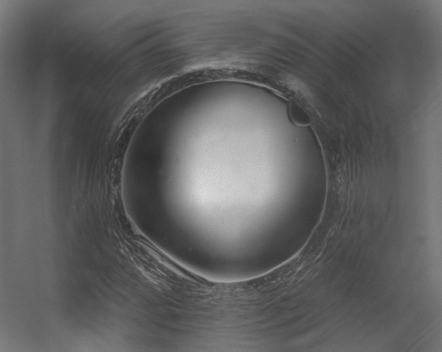 X0000056311064200509021531