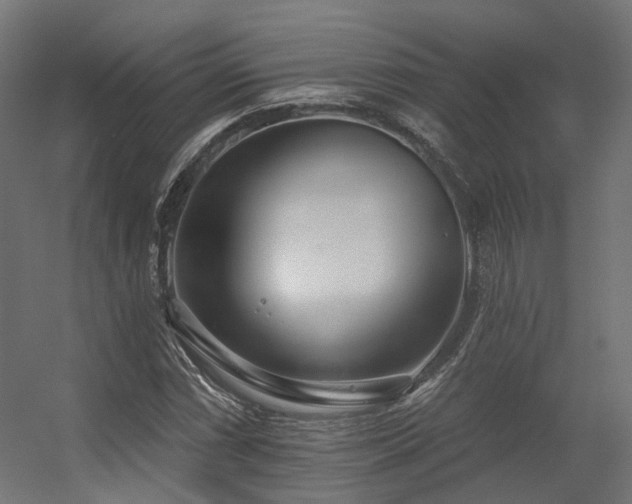 X0000056311066200509021531