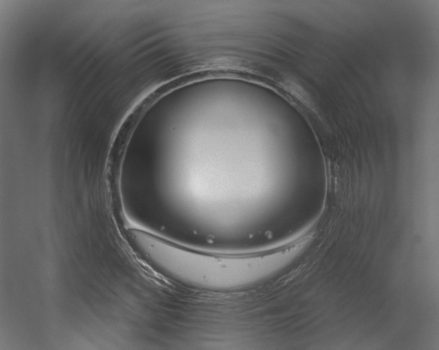 X0000056311068200509021531