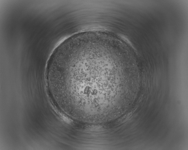 X0000056311071200509021531
